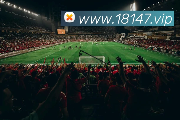 亿万28全站App